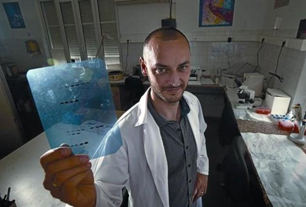 L’investigador Mario Cordero, al laboratori on desenvolupa la seva investigació sobre la fibromiàlgia. L’investigador Mario Cordero, al laboratori on desenvolupa la seva investigació sobre la fibromiàlgia.