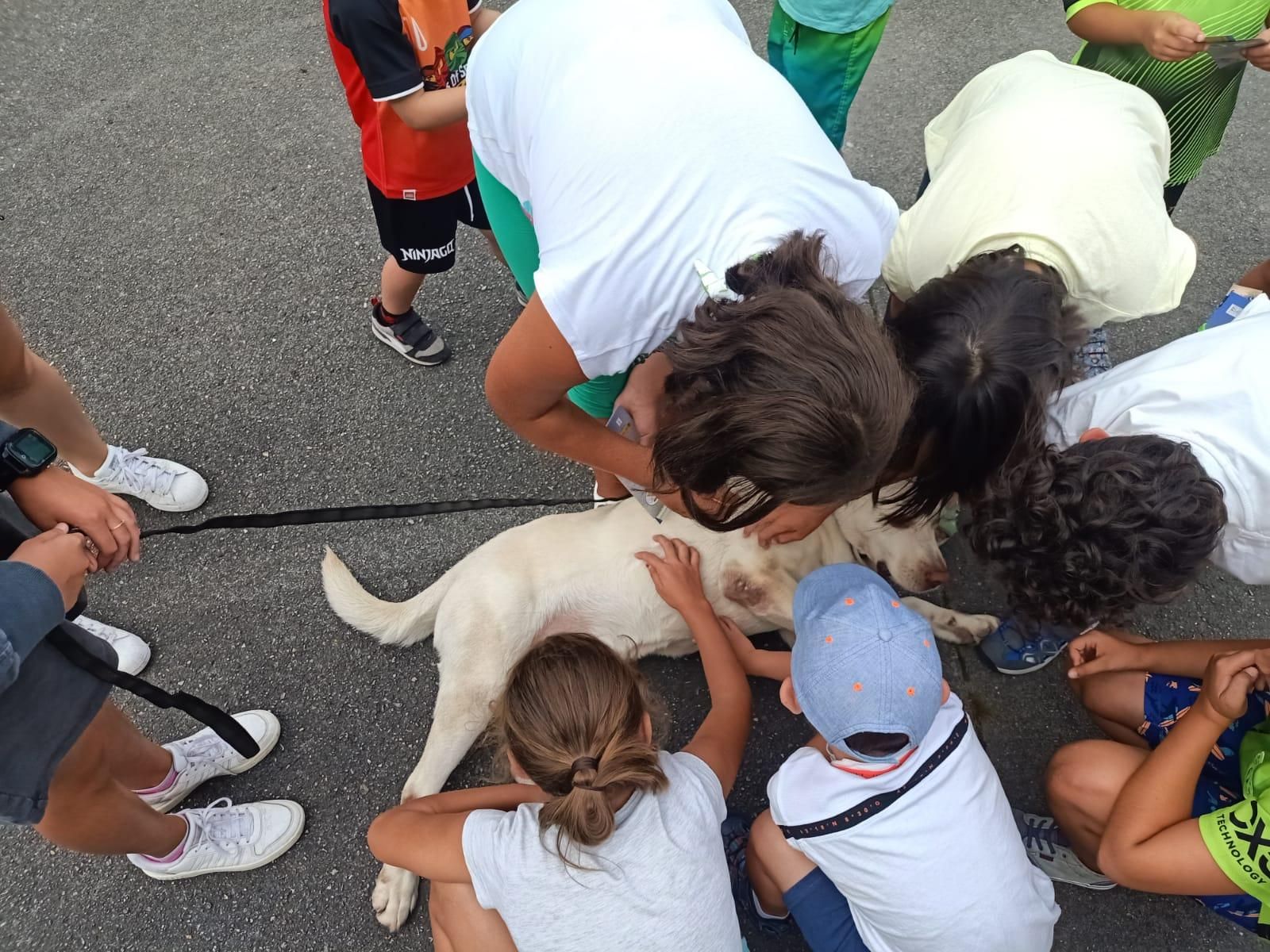 Demostración de la Guardia Civil en el colegio Elena Sánchez Tamargo de Laviana