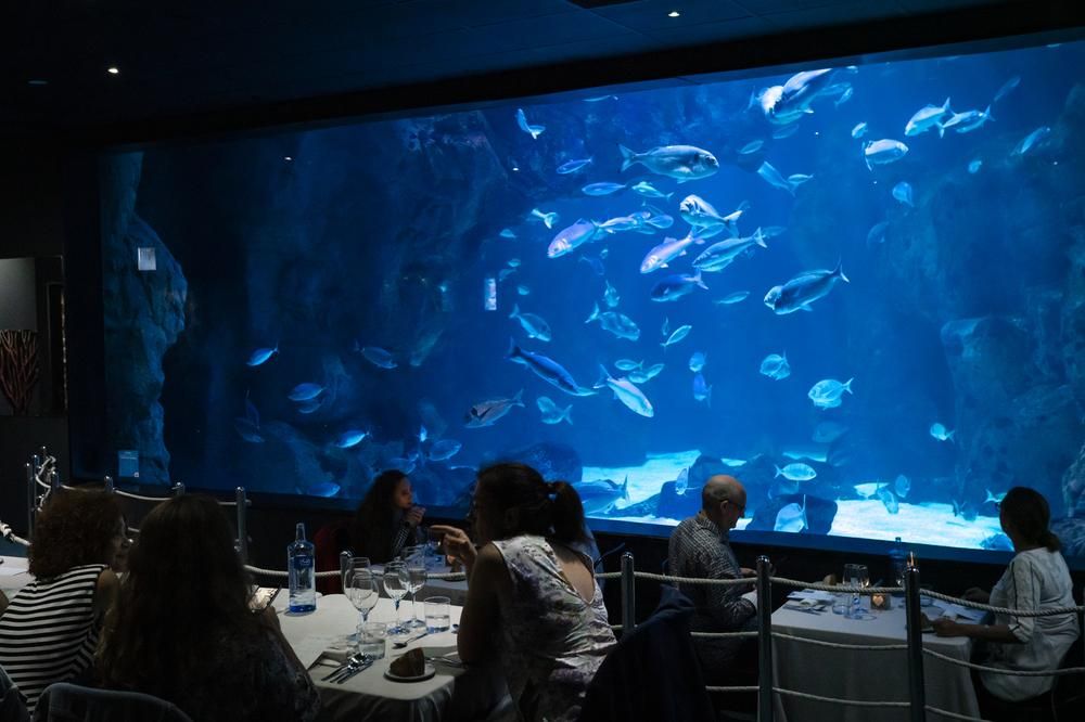 Cenas Bajo el Mar en el BIOPARC Acuario de Gijón