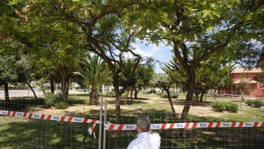 Más de 400 firmas exigen que no se talen árboles en la plaza de Europa