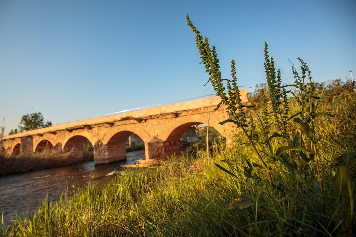 El Pont Vell, cuando lucía sin daños.