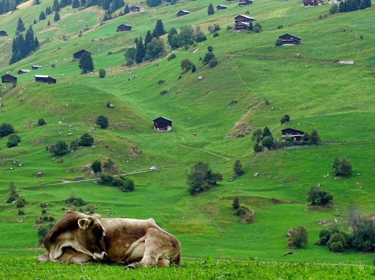 Entre los pastores de Velika Planina