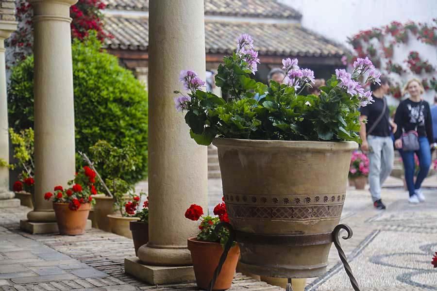 El Palacio de Viana de puertas abiertas