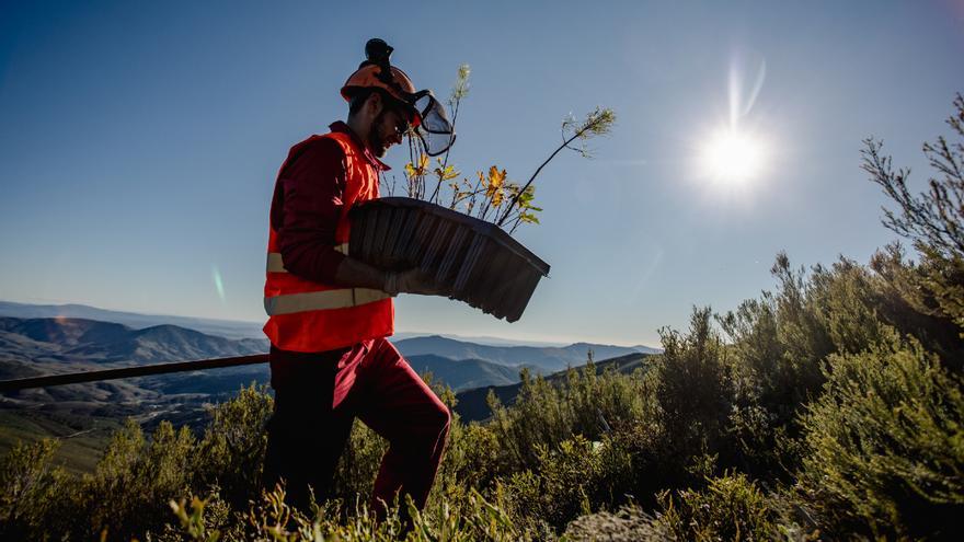 La reforestación para compensar los efectos de la huella de carbono y crear empleo local e inclusivo