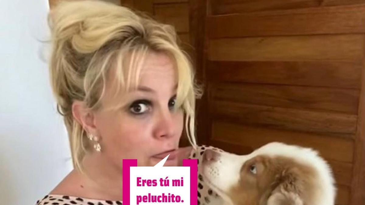 Britney Spears con su perro en brazos