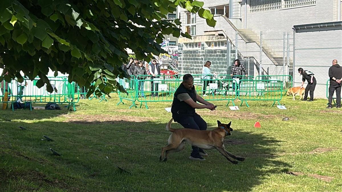 EN IMÁGENES: Así fue la primera jornada de las fiestas de San Isidro en Piedras Blancas