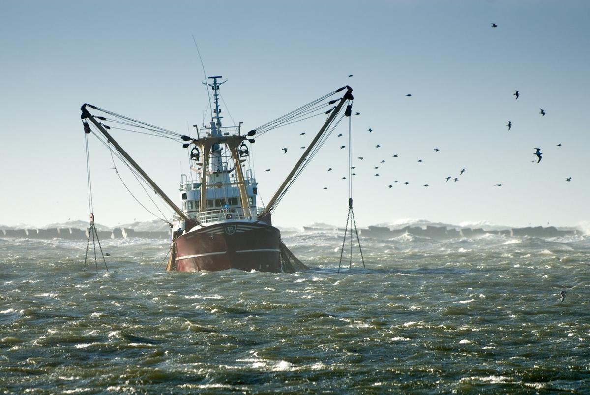 Barco pesquero