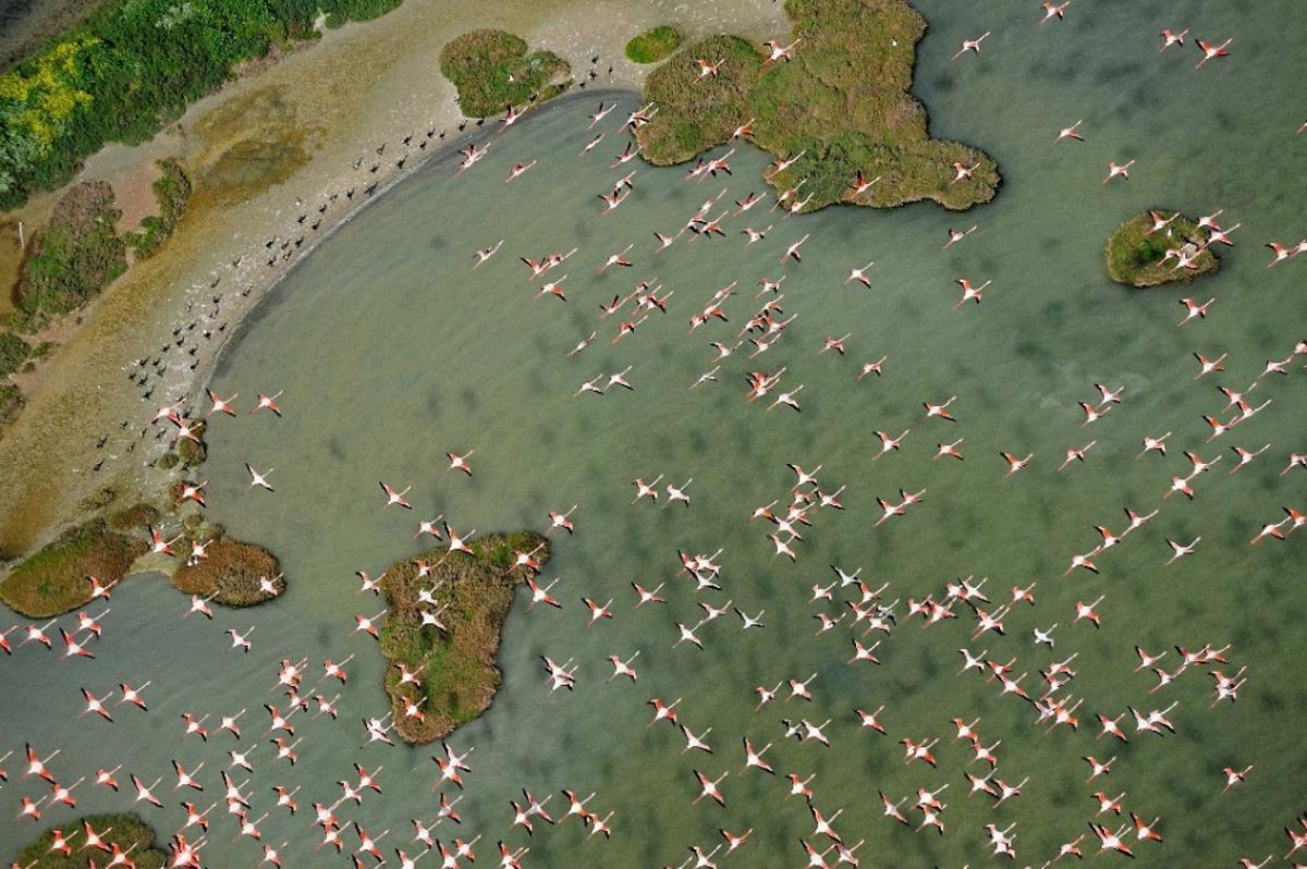 Unesco quiere que España tome medidas para que el acuífero de Doñana no entre en la Lista del Patrimonio en Peligro.