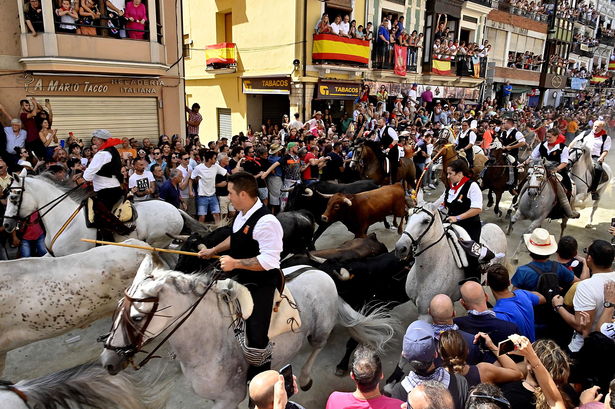 Las fotos de la última Entrada de Toros y Caballos de Segorbe