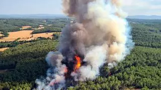 Incendios en Catalunya hoy: estos son los municipios de Catalunya con riesgo alto de fuego