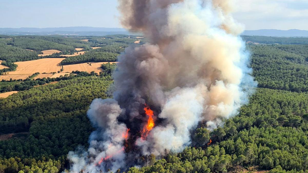 Incendio forestal en Catalunya