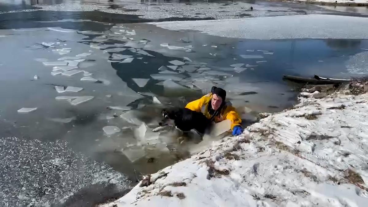 Espectacular rescate a un perro atrapado en las aguas congeladas de un estanque de Missouri
