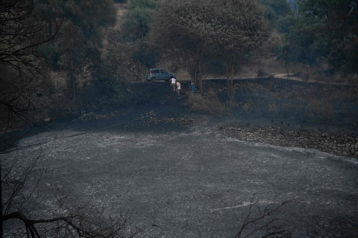 Los incendios forestales se han desatado en Grecia