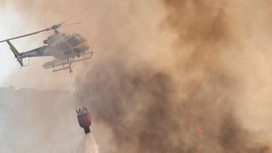 Un helicóptero descarga agua sobre una zona boscosa, ayer por la tarde en es Cubells.