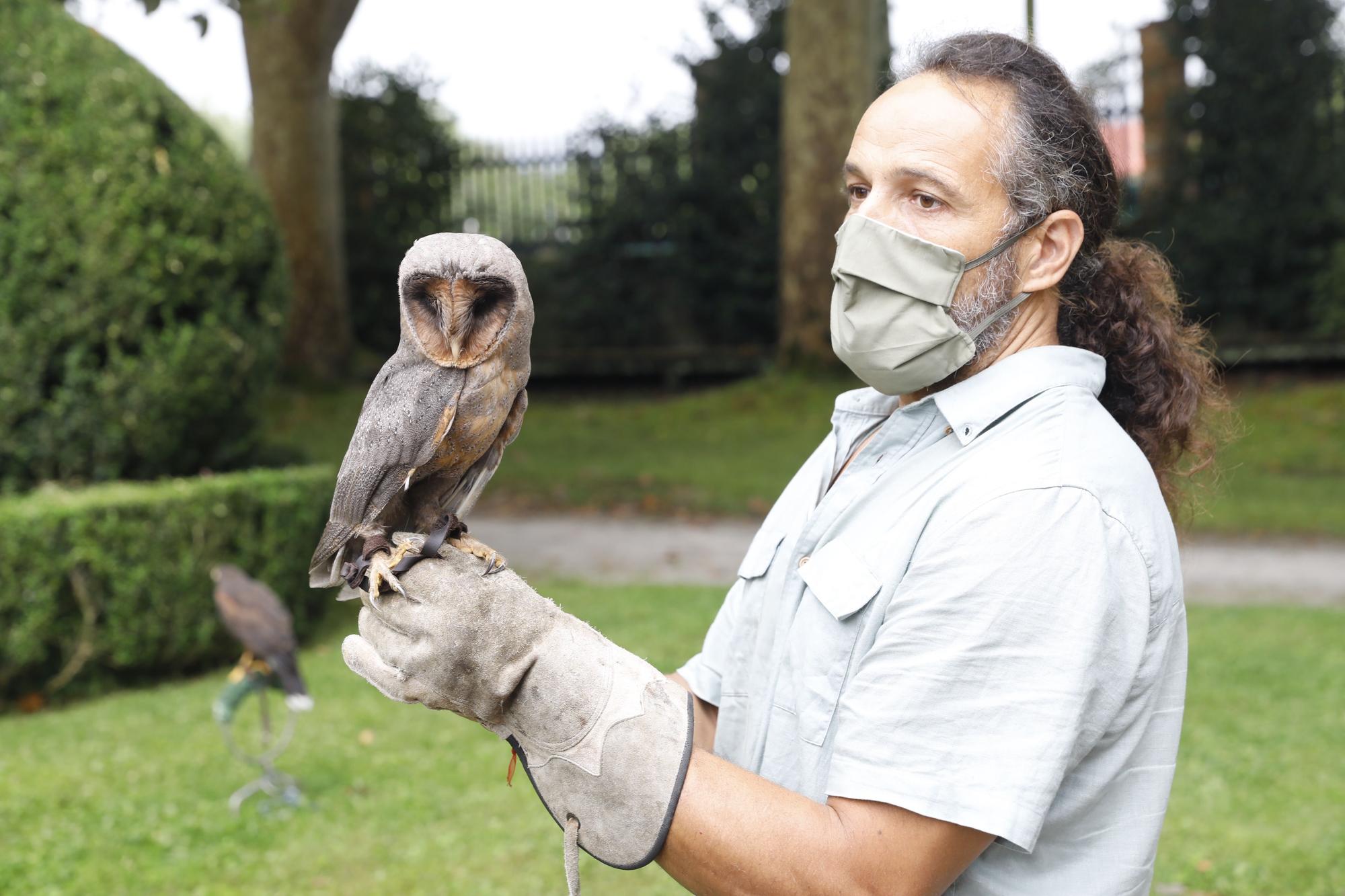 Los vuelos nocturnos de los búhos vuelven al Botánico de Gijón