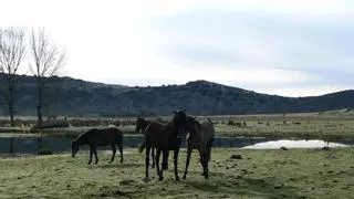 El paraíso terrenal de la Nava