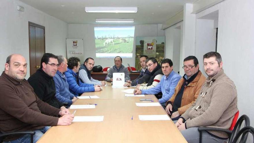 Representantes de la Asociación de Ternera de Aliste durante una de sus reuniones.