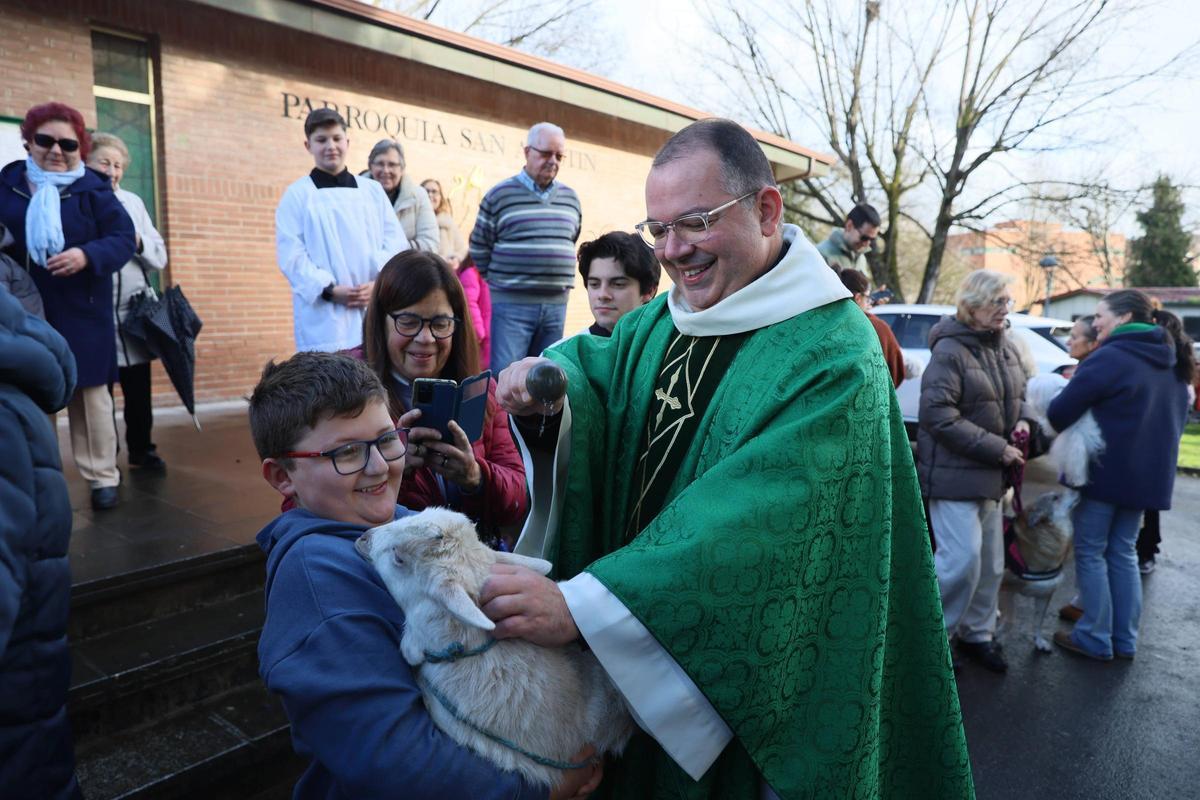 La bendición de animales en La Magdalena, en imágenes