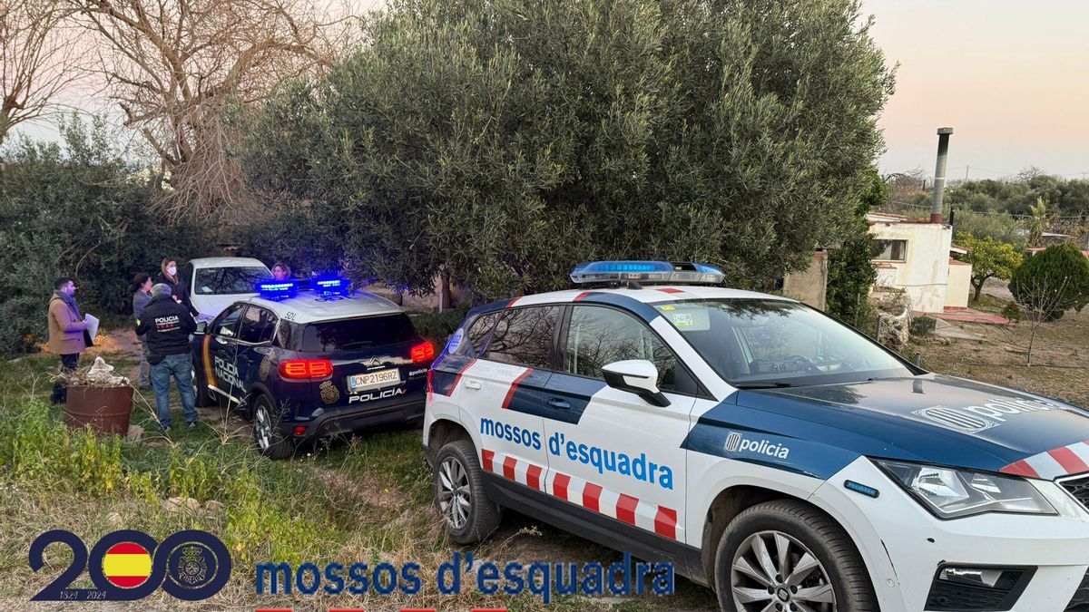 Imagen de la actuación de Mossos y Policía en esta finca, en la que se encontró el cuerpo