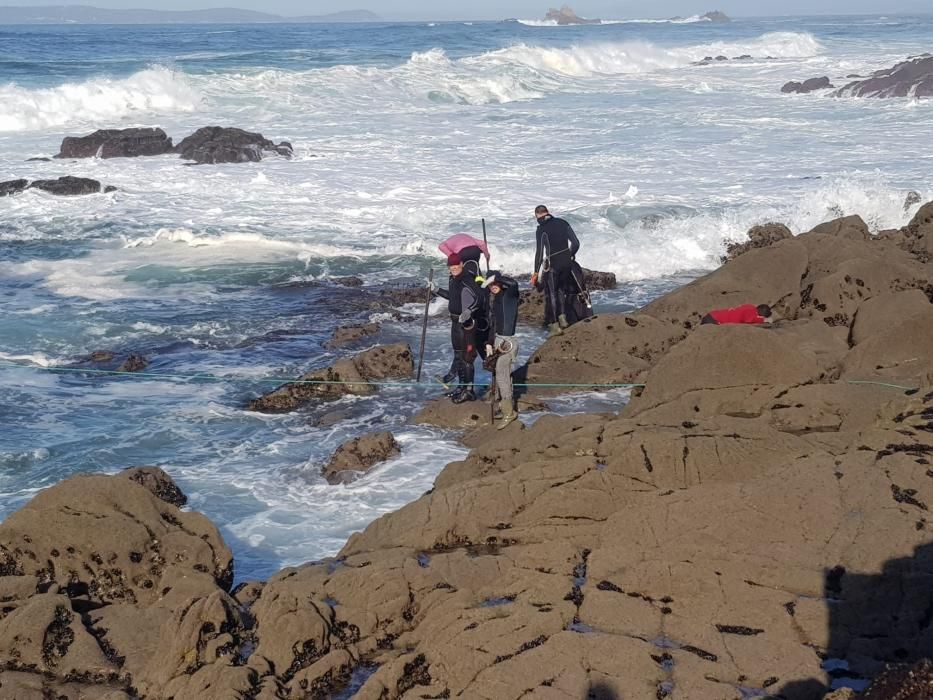 Los percebeiros, esta mañana en A Costa da Vela