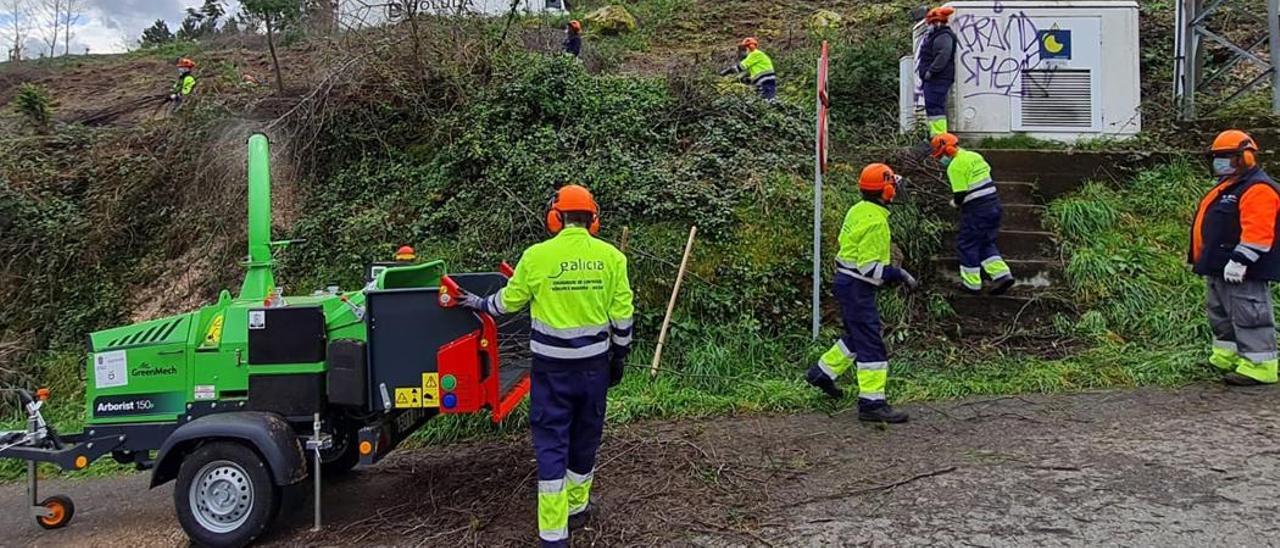 Gestión de biomasa con una trituradora industrial, en Valga.