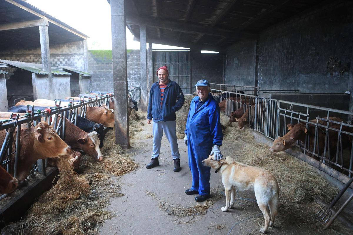 Adrián Laxe, y su padre Fernando en su explotación familiar de Irixoa.