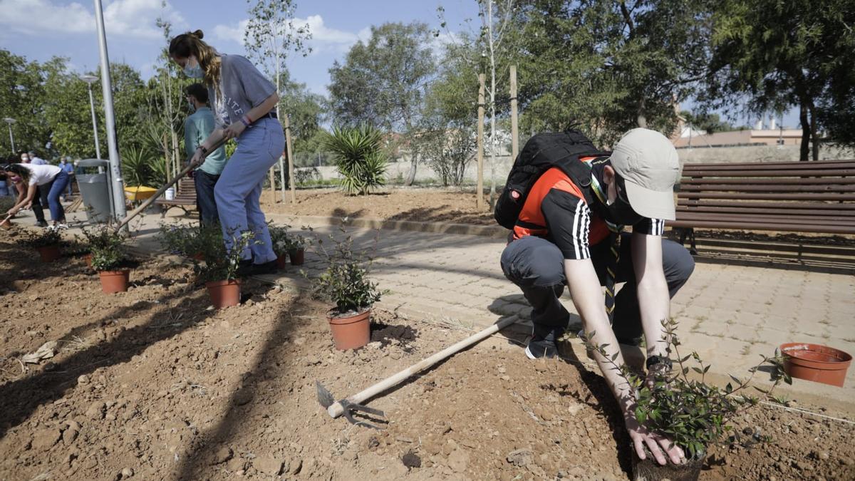 Celebran el Día de Europa sembrando más de 200 plantas arbustivas en Palma