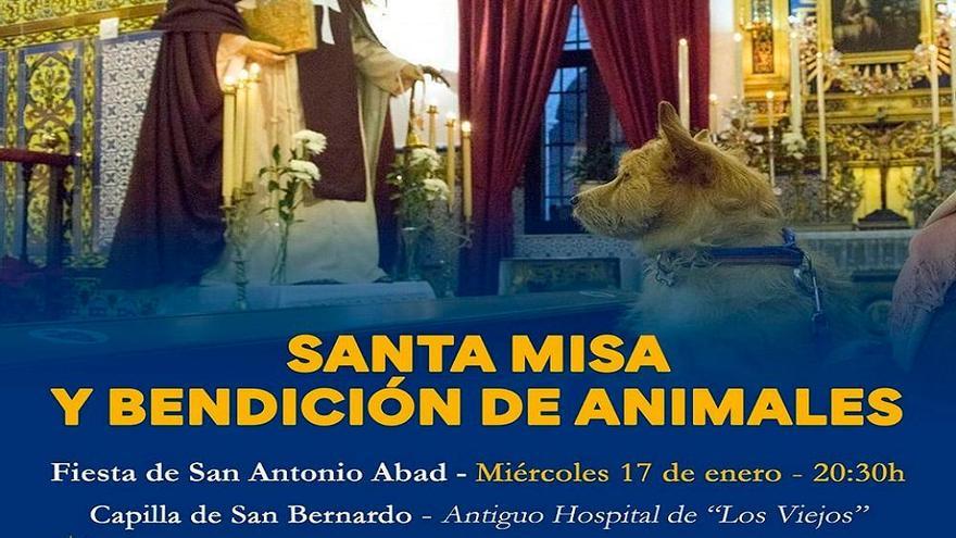 Cartel para la festividad de San Antonio Abad editado por la Pastora de Santa Marina