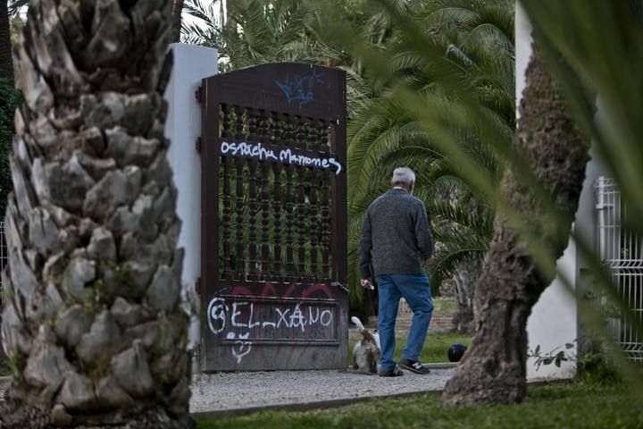 El Parque Municipal de Elche, una perla verde que hay que atender mejor