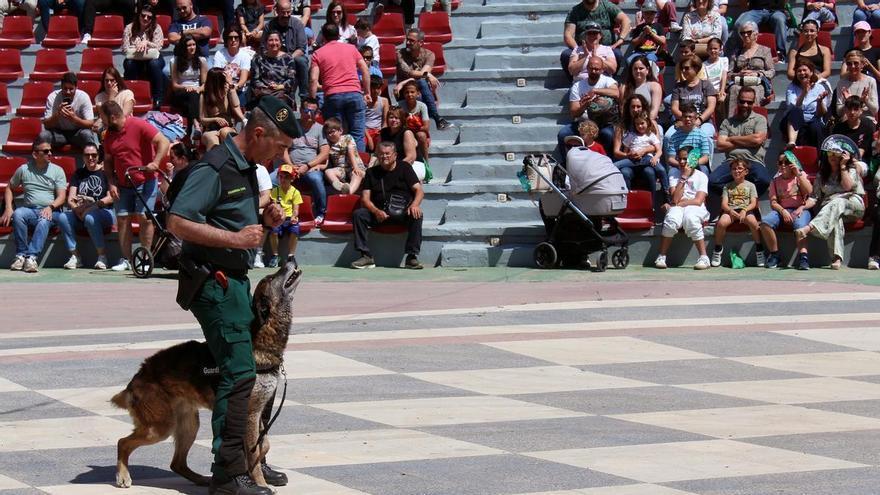 Drones, perros adiestrados y vehículos protagonizarán la exhibición de la Guardia Civil en Torre Pacheco