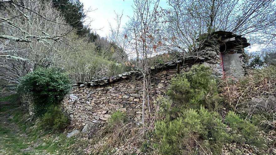 Operación "Salvar el cortín de Fonrín": la preciosa actividad que la asociación Fuentes del Narcea organiza este sábado en Cangas