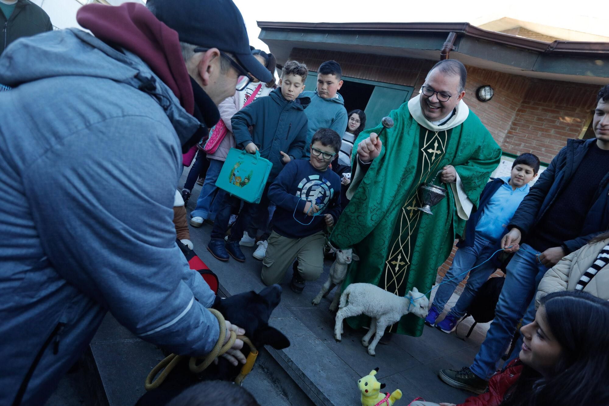 En imágenes: Así fue la bendición de animales por San Antonio en Avilés