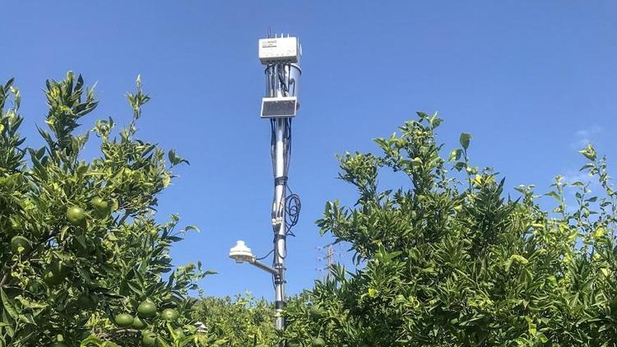 UPV y Frutinter reducen a la mitad el consumo de agua y abono para cítricos