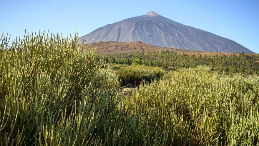 Exploring the Vulnerabilities and Resilience of Our Natural Ecosystems