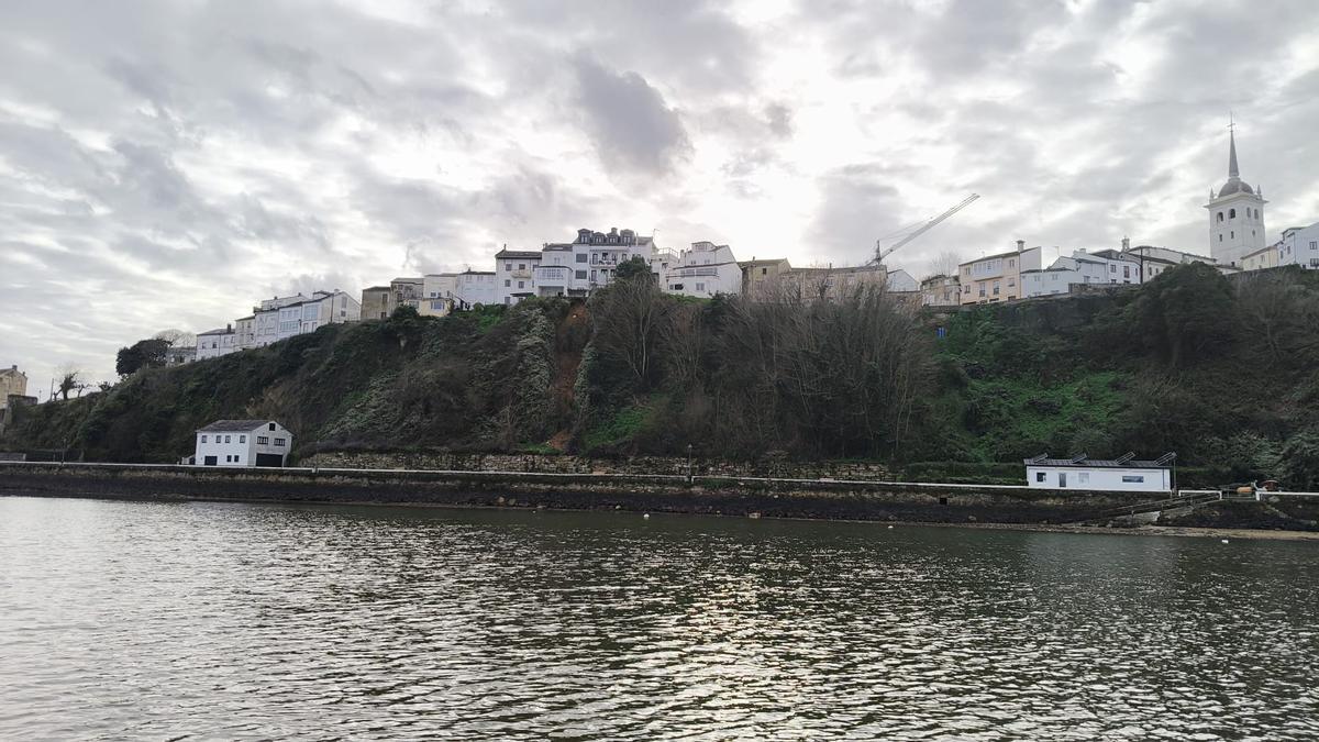 WhatsApp Image 2026-02-08 at 16.46.03