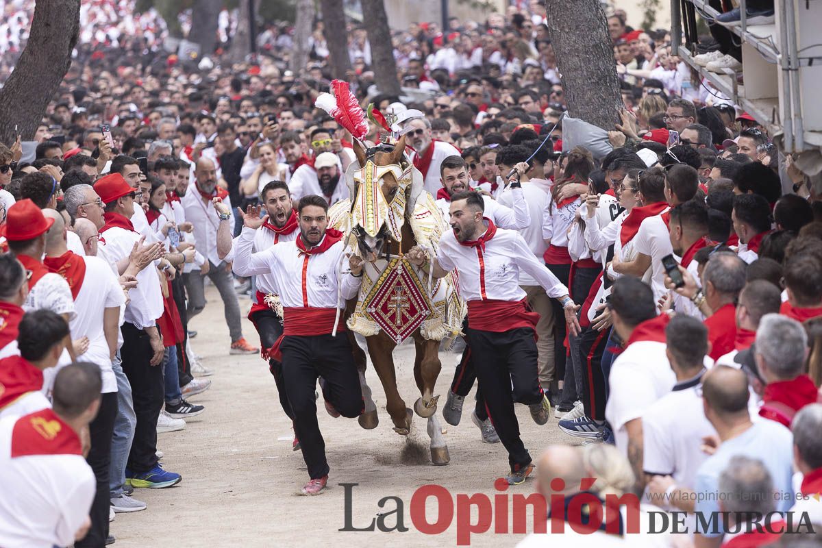 Así se ha vivido la carrera de Los Caballos del Vino en Caravaca
