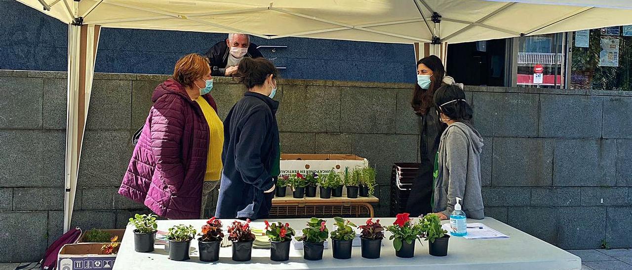 Con la intención de animar a la ciudadanía a compostar los residuos orgánicos domésticos, resolver dudas sobre este sistema de tratamiento y tomar nota de los demandantes de composteros individuales, la Concellería de Medio Ambiente de Cangas instaló el viernes una carpa informativa frente al consistorio, que incluyó reparto de flores y plantas a los interesados.