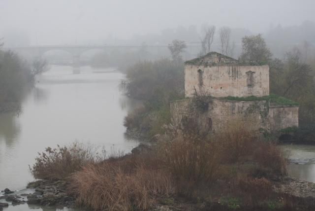 FOTOGALERÍA / Una densa niebla despierta Córdoba