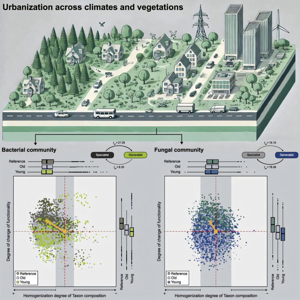 Impacto de la urbanización en las comunidades microbianas del suelo en diferentes climas y tipos de vegetación.