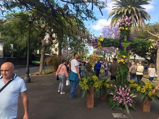 Concurso de Cruces de Flores Naturales