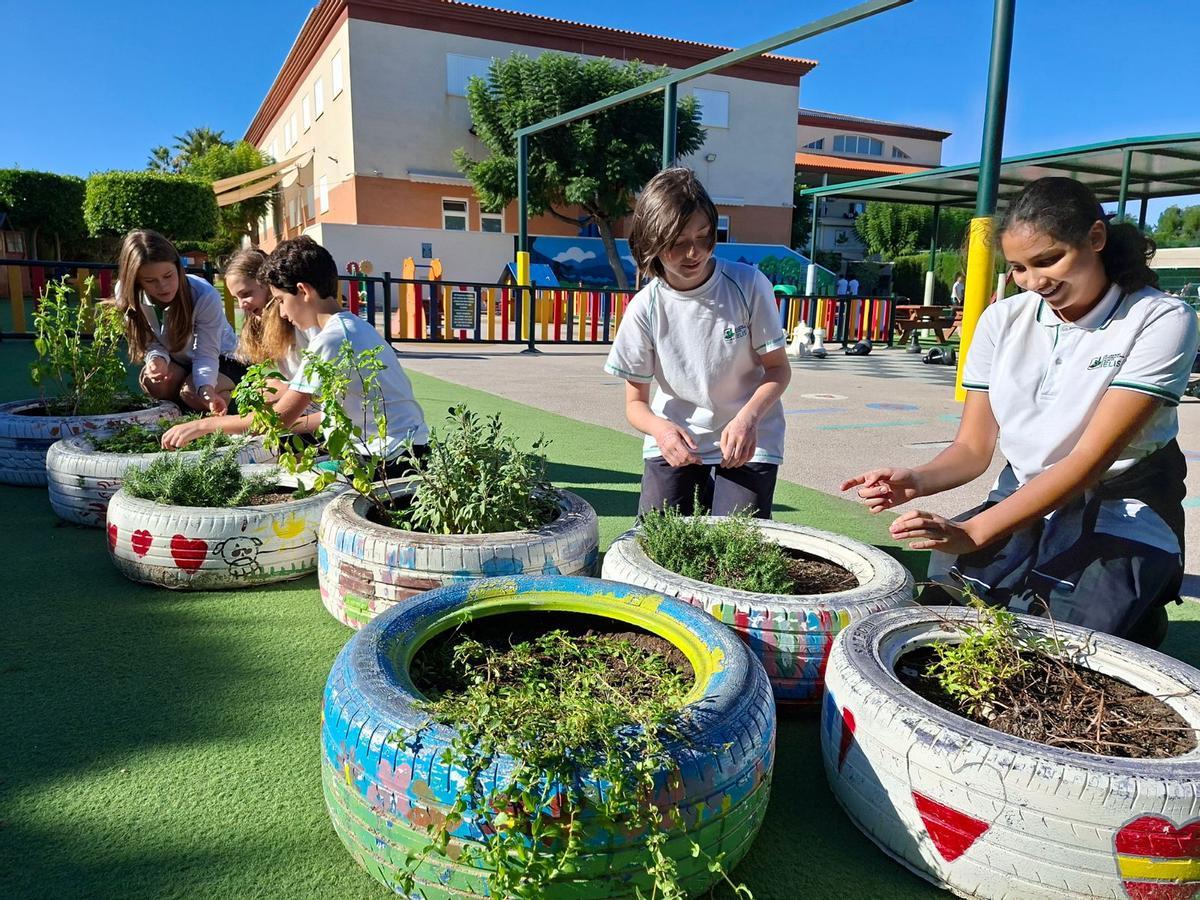 Actividades desarrolladas por los alumnos