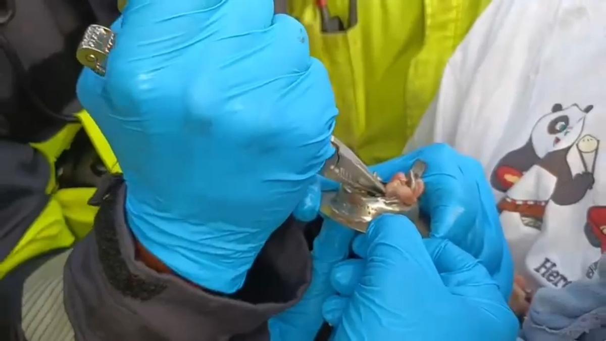 Liberan la pata de un gato que quedó atrapada en una tubería en Arinaga