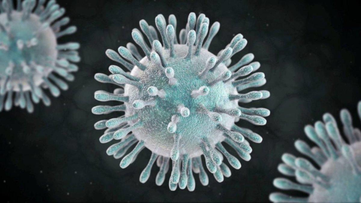 El coronavirus está notándose en todos los ámbitos de la vida diaria