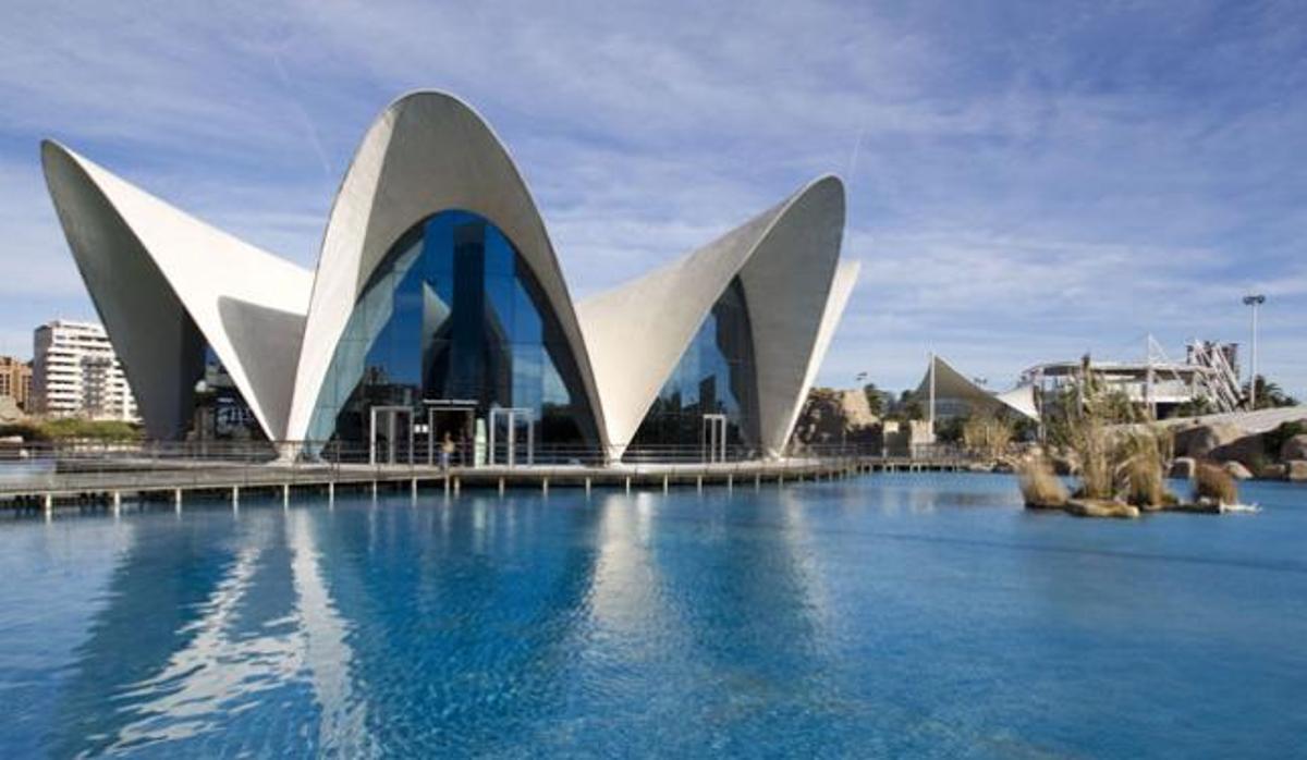 Oceanogràfic Valencia, visitando el acuario más grande de Europa