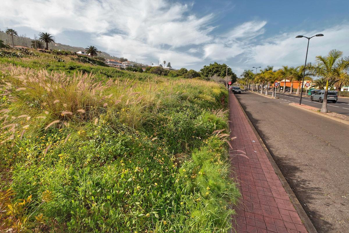 Zona en la que se ubicará en futuro parque de Valle de Guerra Zona en la que se ubicará en futuro parque de Valle de Guerra