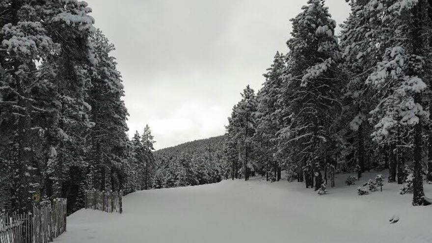 Imatge de les pistes de Tuixent-la Vansa després de la nevada