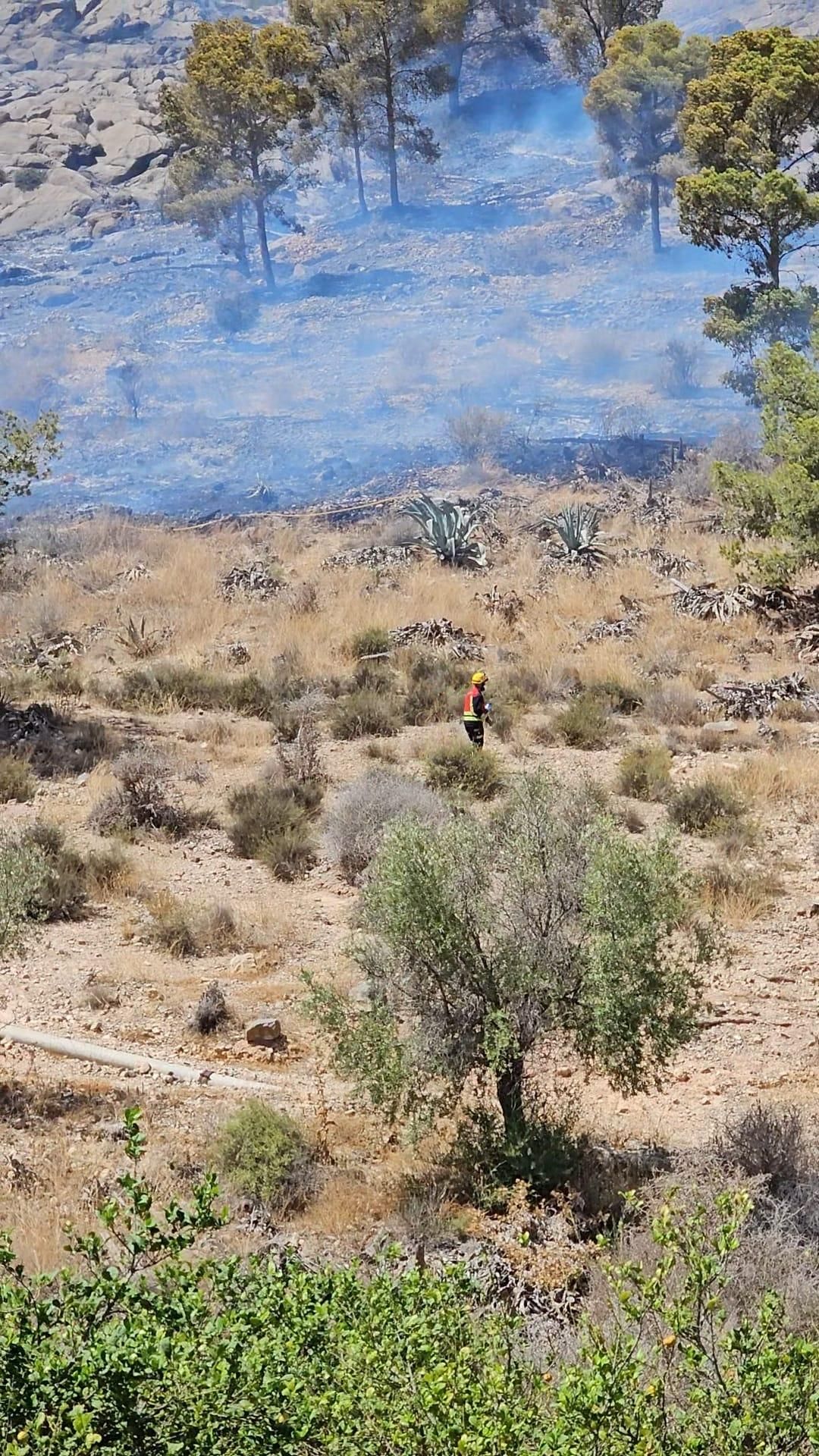 Controlado el incendio forestal que afectaba a la Sierra de Orihuela en La Aparecida