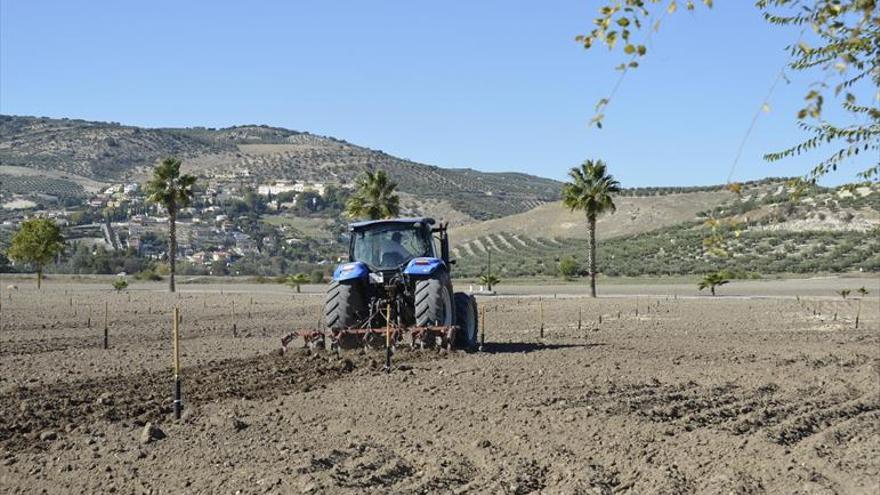 Andalucía recibirá casi 23 millones para la agricultura y la ganadería