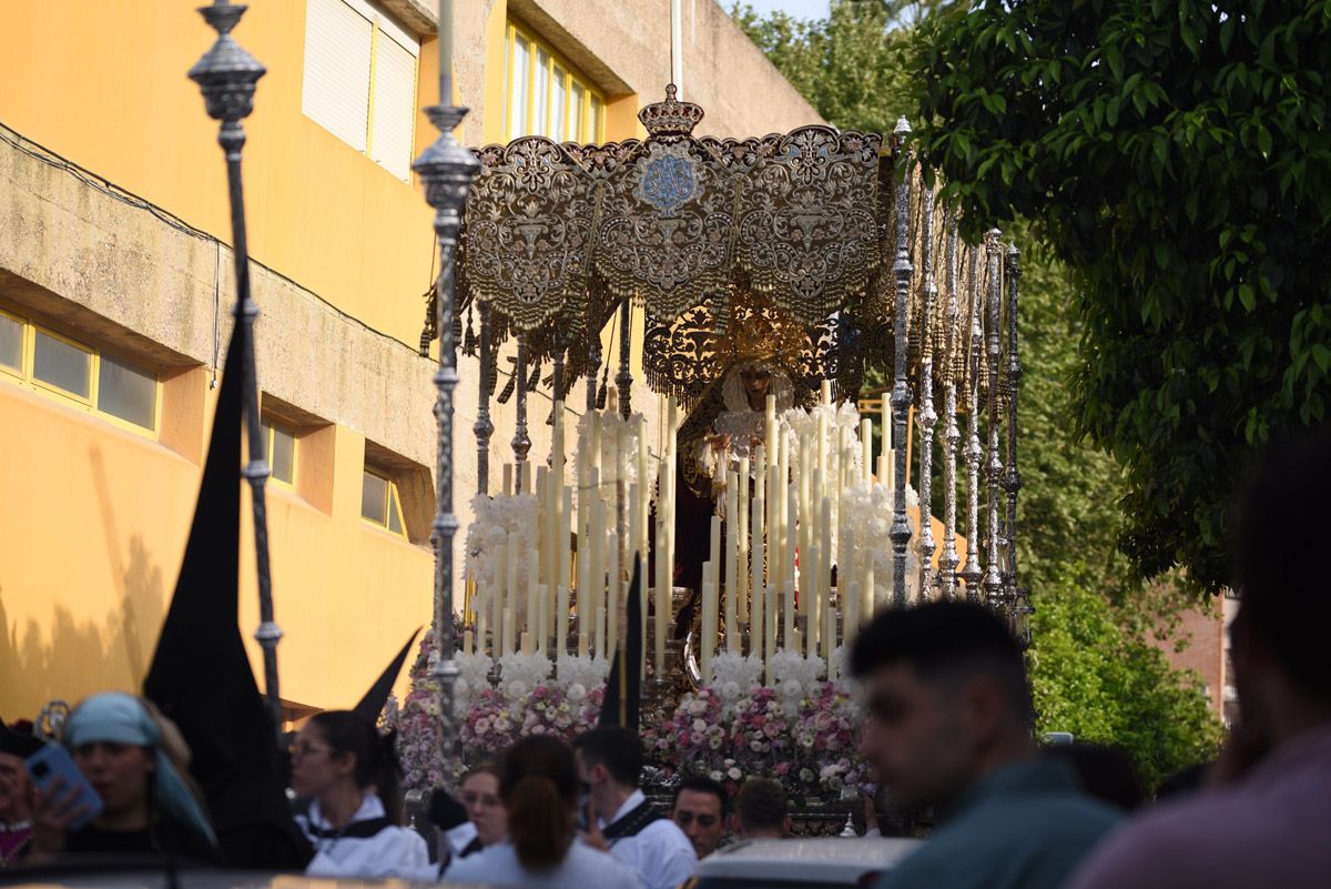 La hermandad del Amor, en imágenes