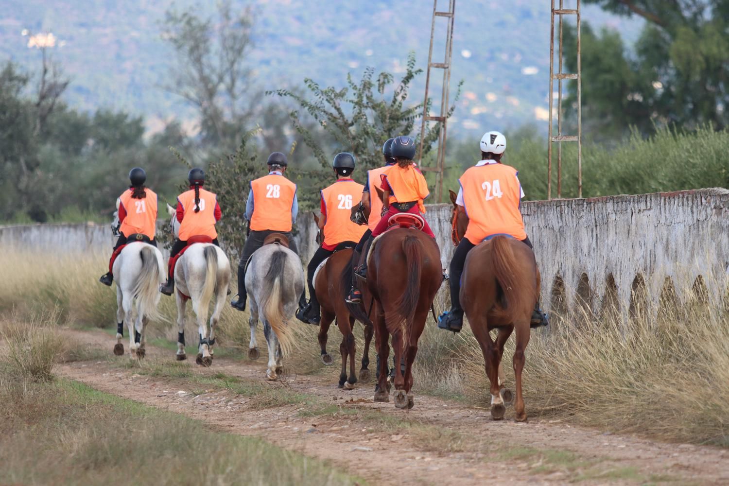 El Raid Hípico El Cañuelo, en imágenes